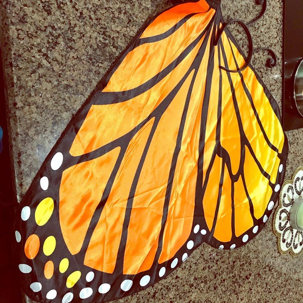 Butterfly wings and headband